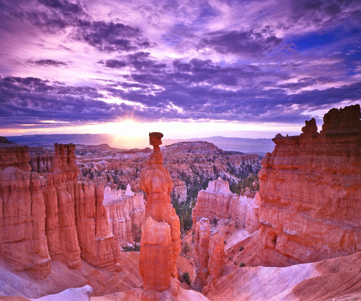 Die atemberaubende Landschaft des Bryce Canyon National Parks in Utah