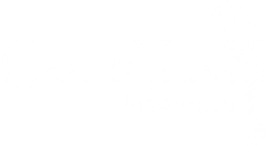 logo_careli